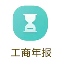 个体户年报
