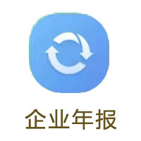 企业年报